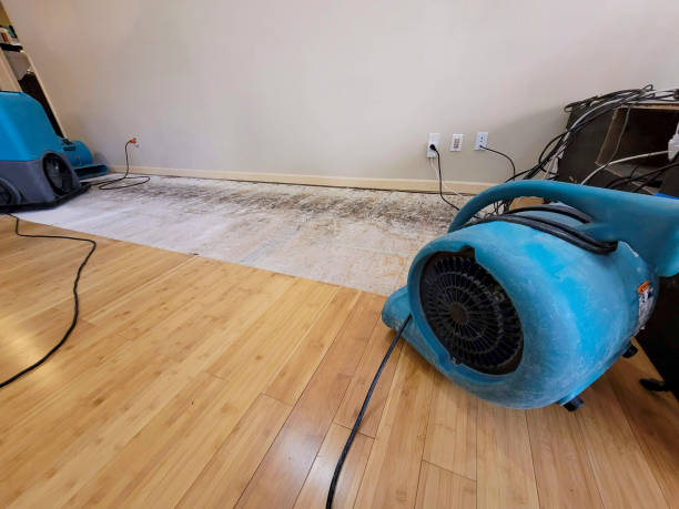 Professional Structural Drying technician working in Moss Point, MS